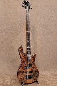 Spector NS Etho4 SFB